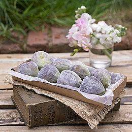 《审判》系列PC游戏更新 正式加入DLSS和DLAA